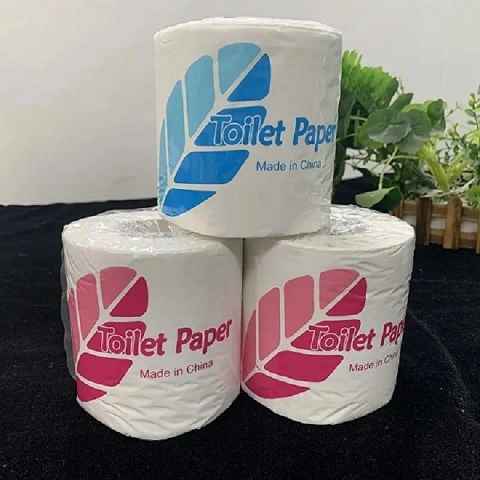 What is toilet paper